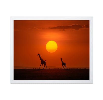 Giraffes In The Sunset