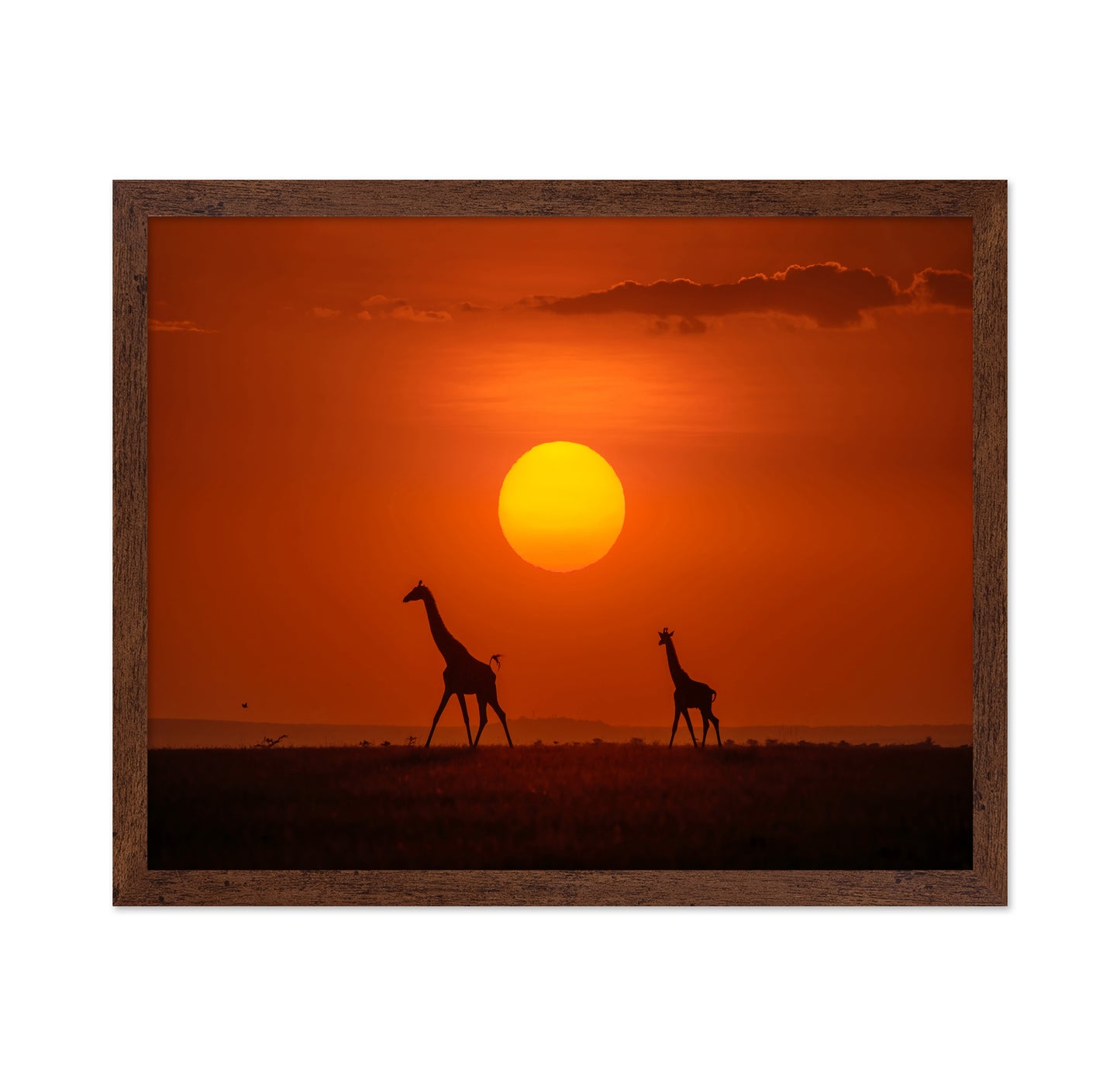 Giraffes In The Sunset