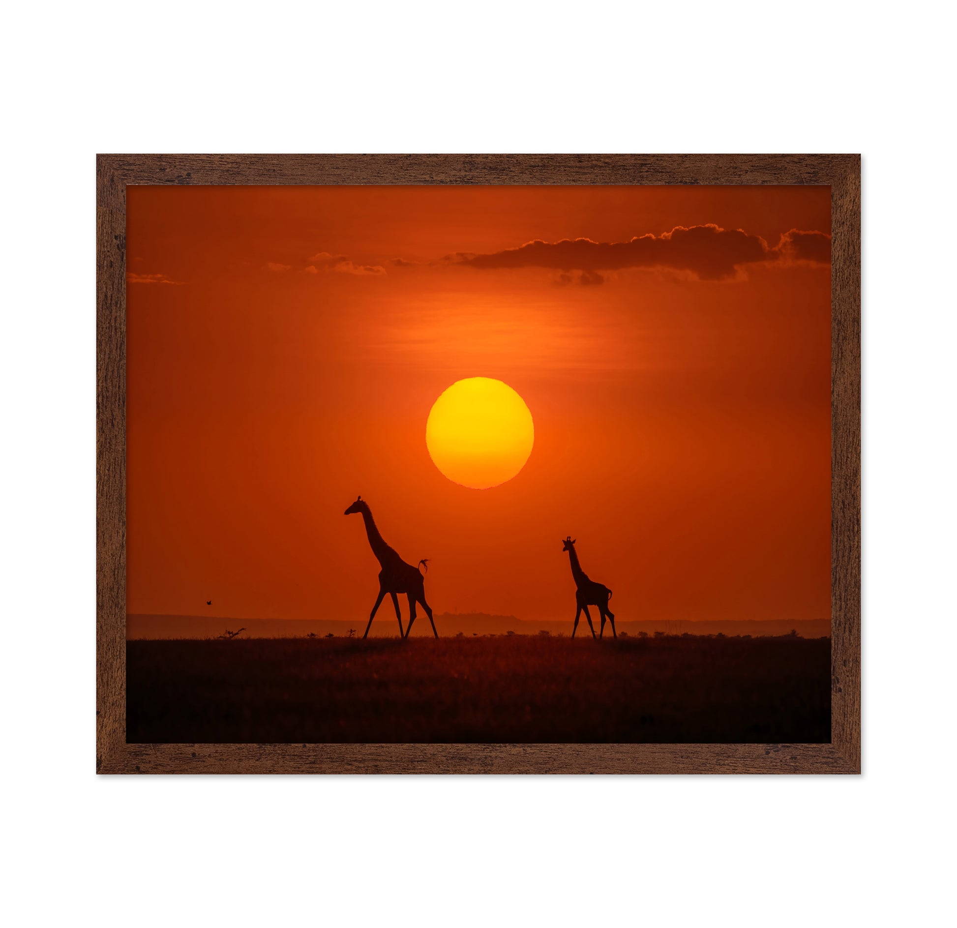 Giraffes In The Sunset