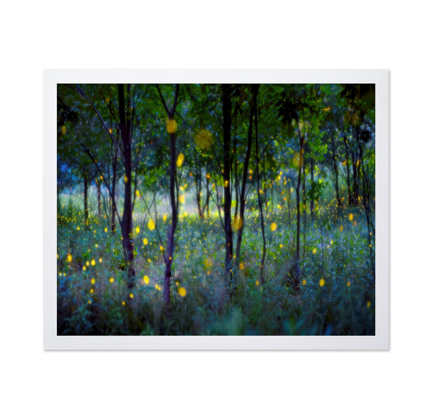 Enchanted Firefly Forest