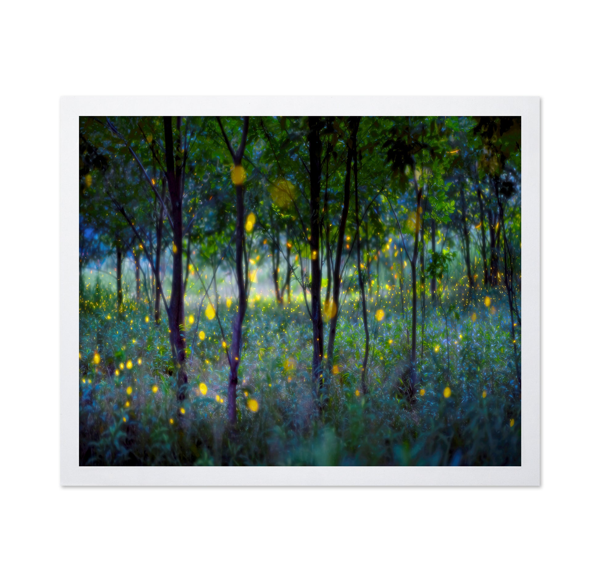 Enchanted Firefly Forest