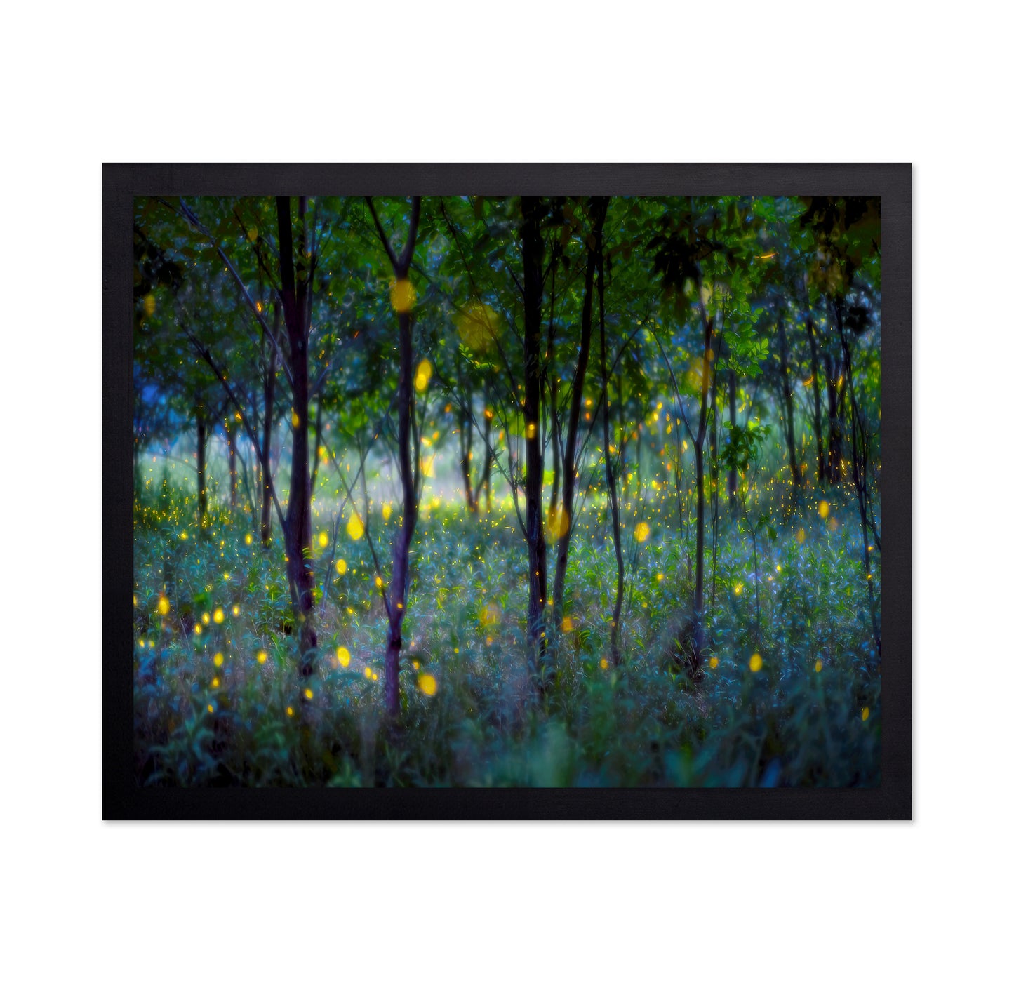 Enchanted Firefly Forest