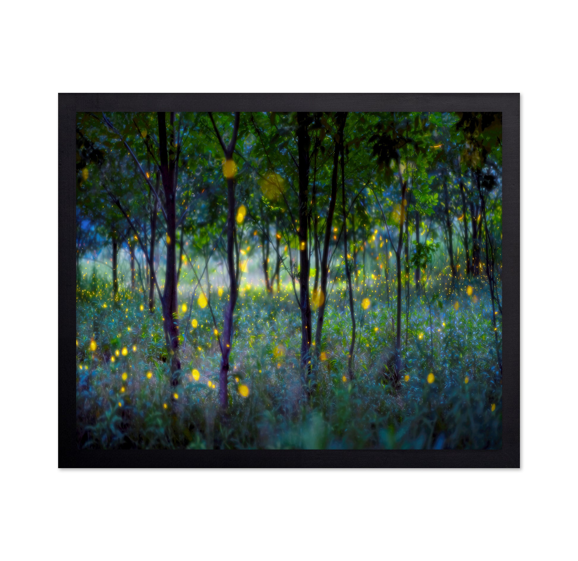 Enchanted Firefly Forest