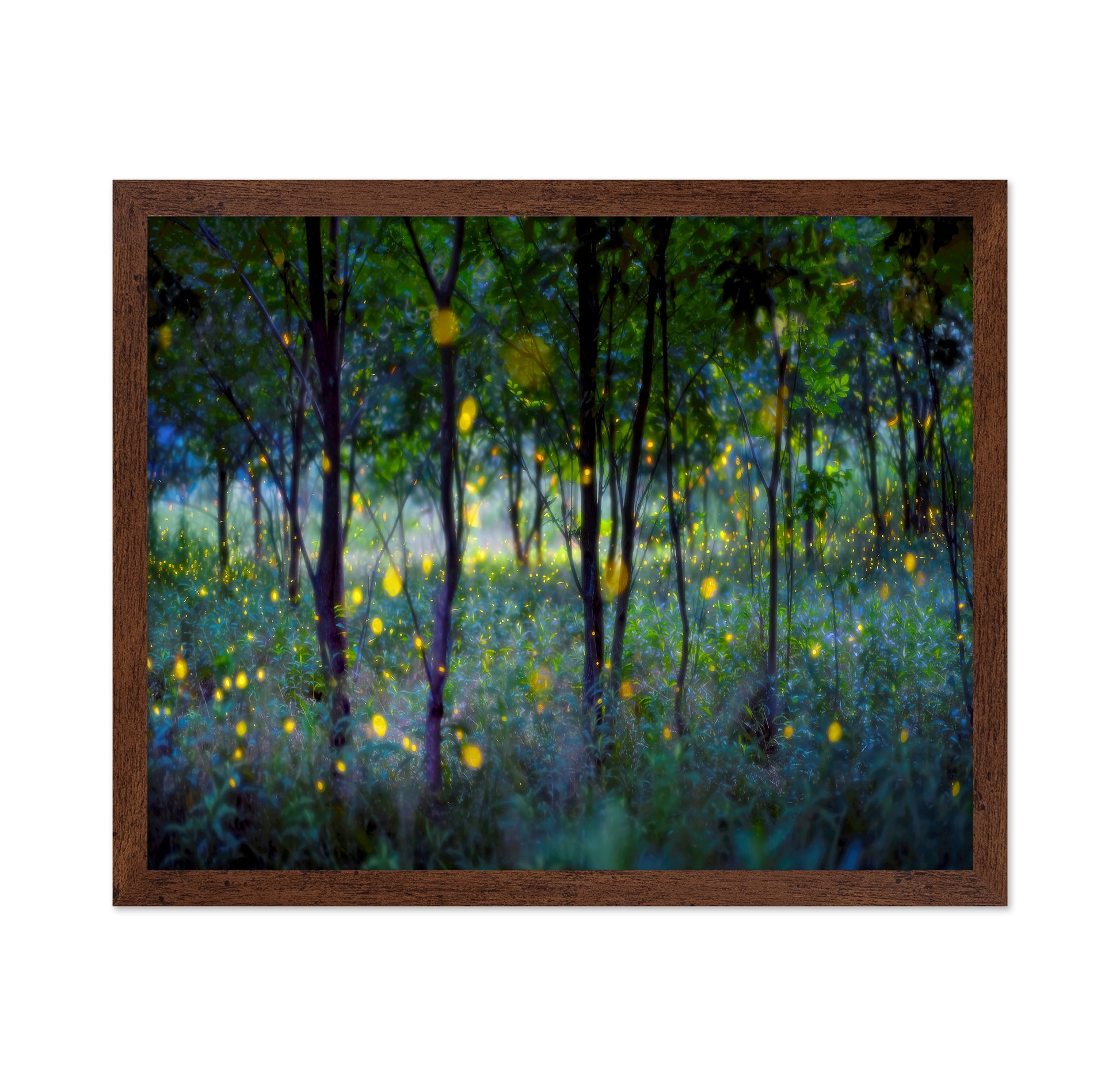 Enchanted Firefly Forest