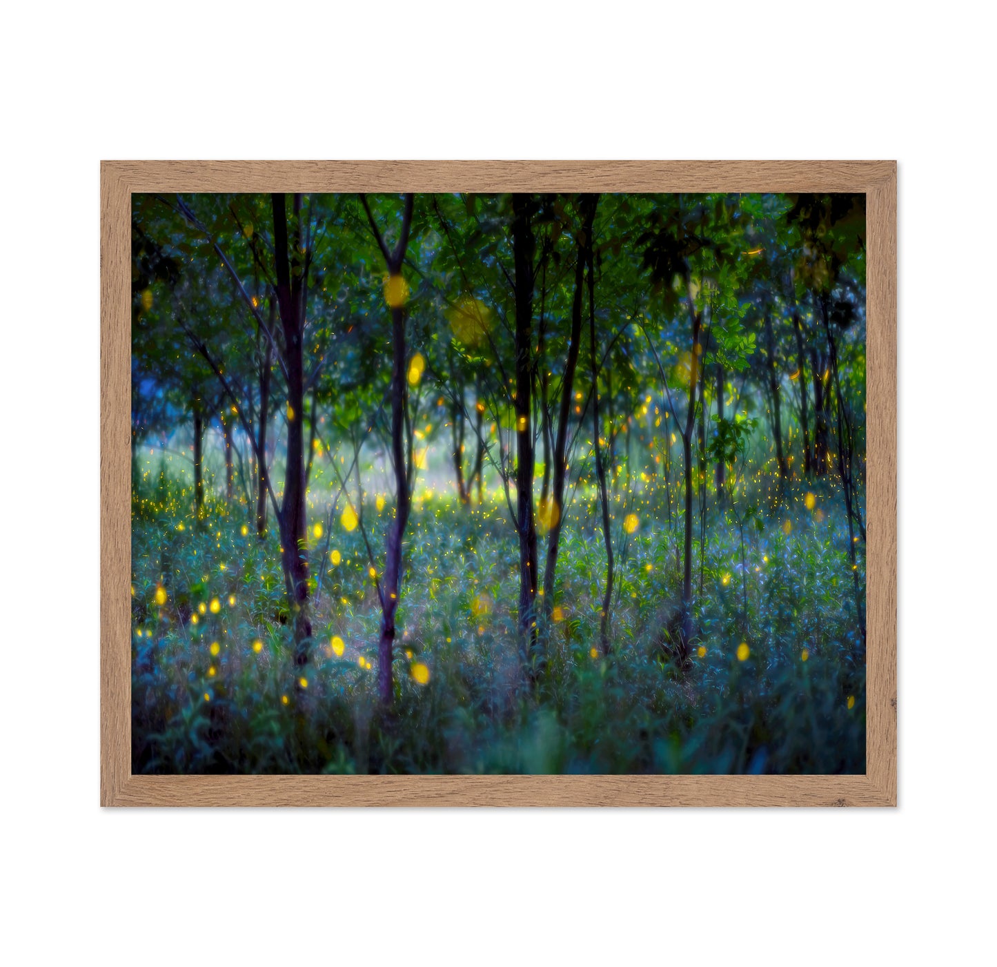 Enchanted Firefly Forest
