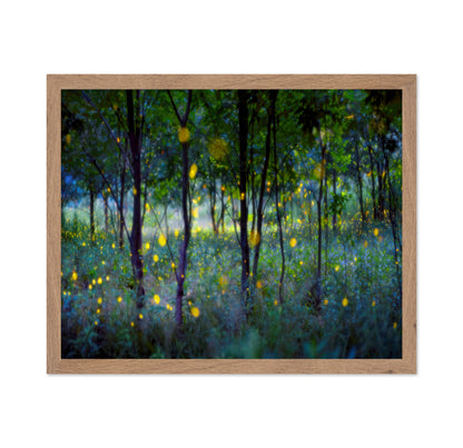 Enchanted Firefly Forest