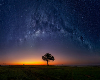 Milky Way Tree