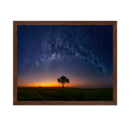 Milky Way Tree