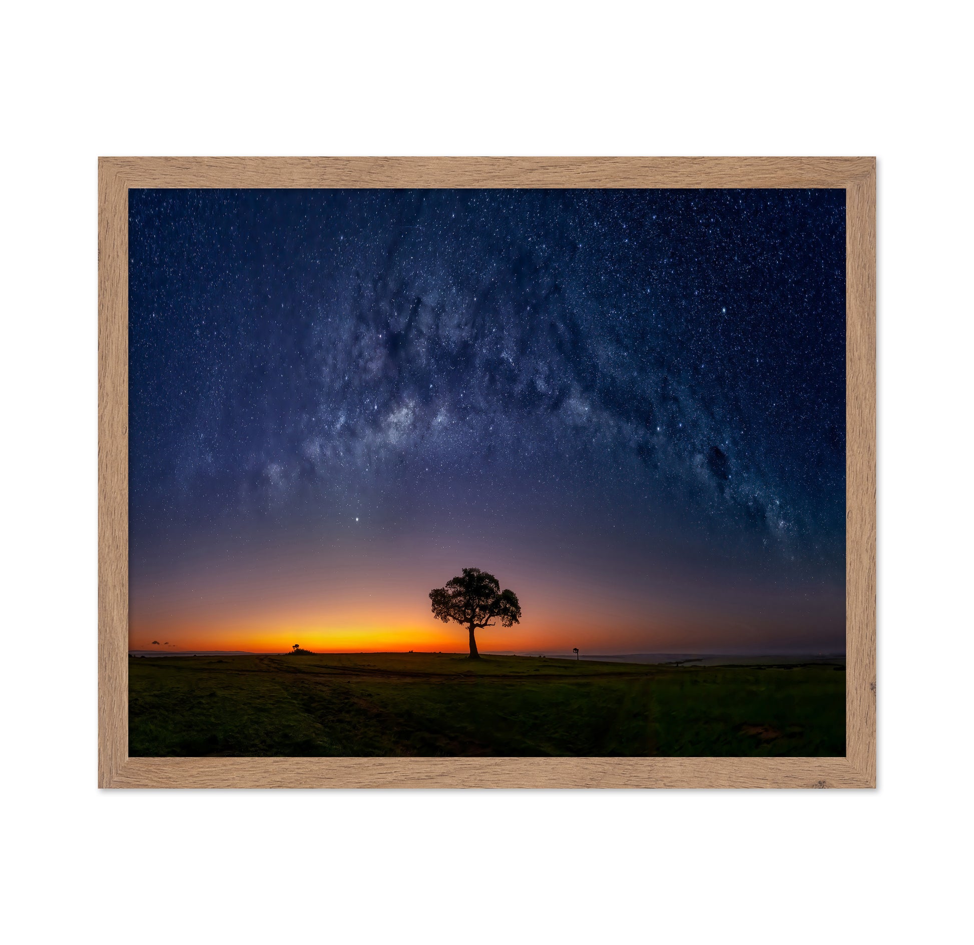 Milky Way Tree