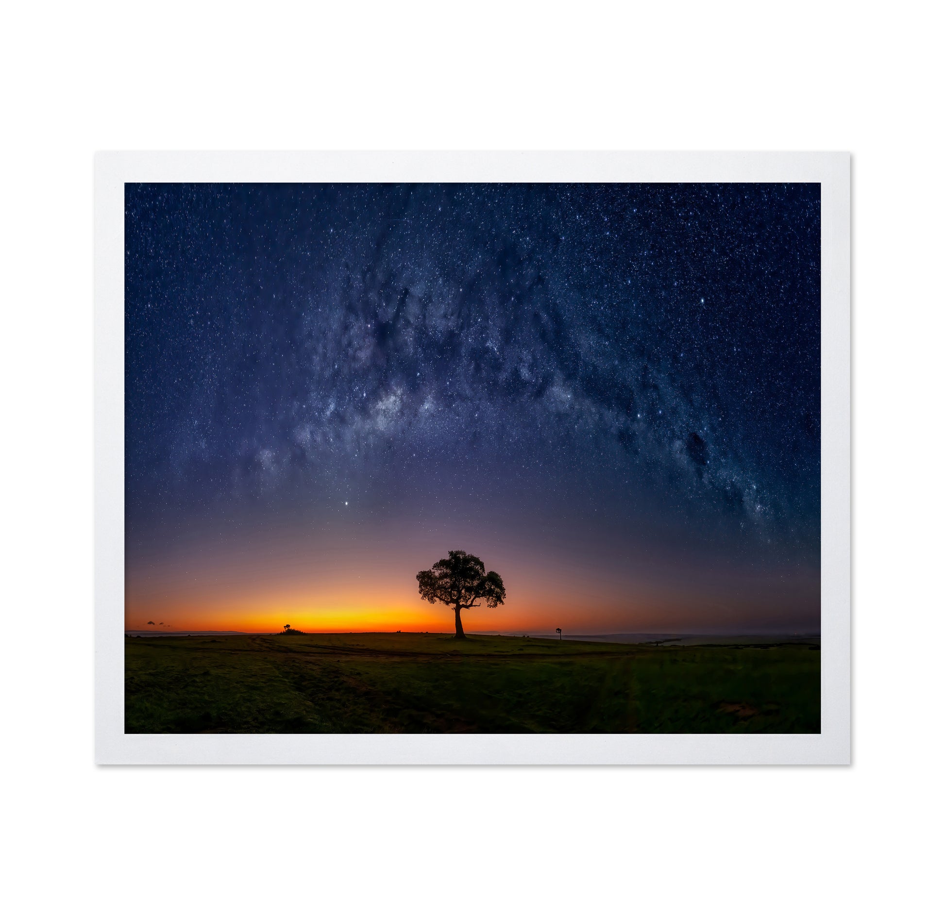 Milky Way Tree
