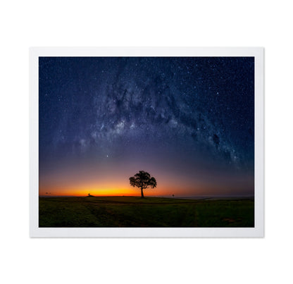 Milky Way Tree