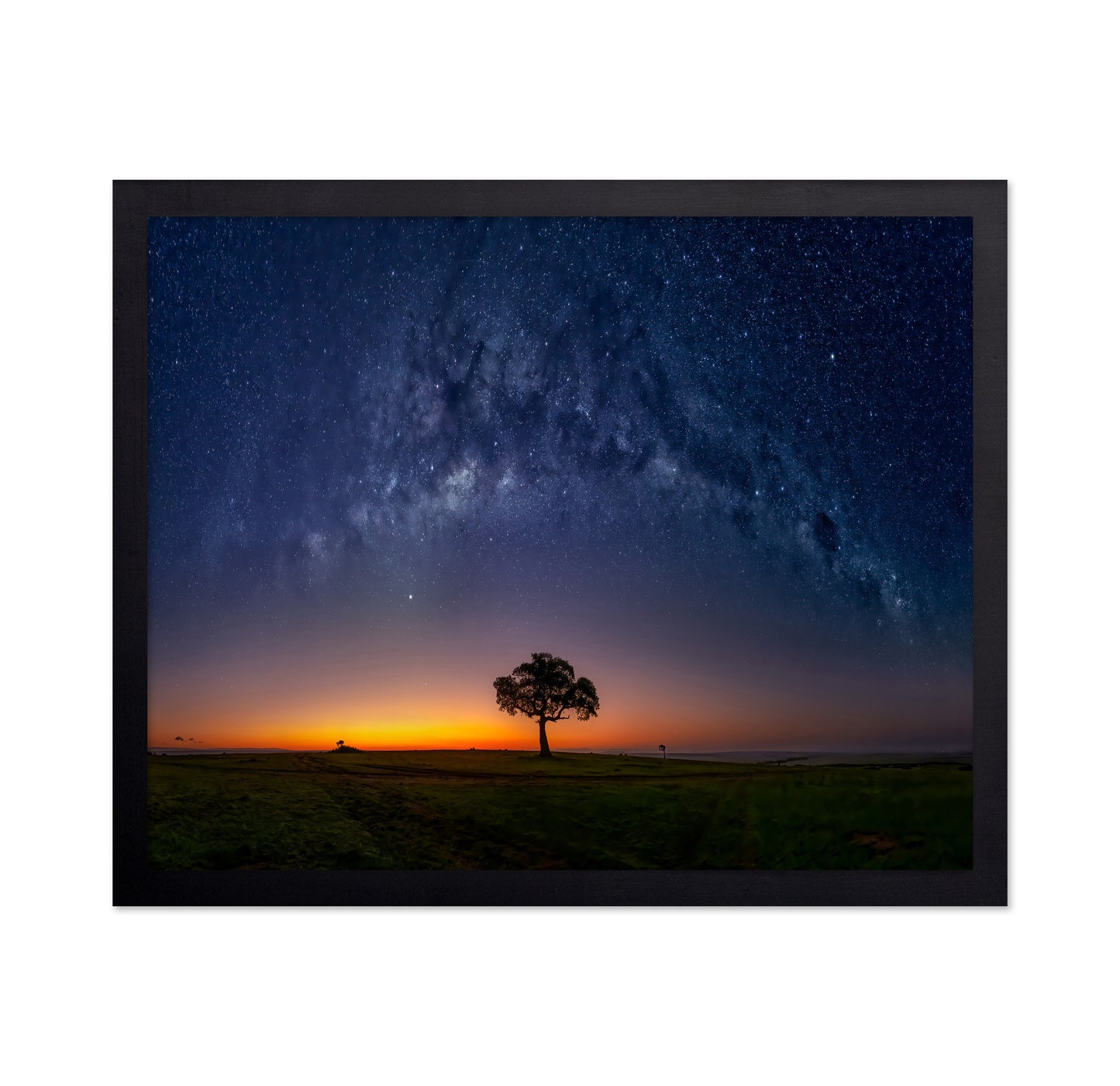 Milky Way Tree