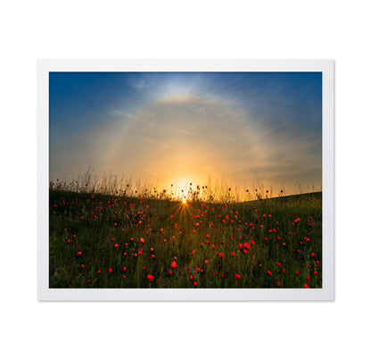 Red Poppies And Sunrise