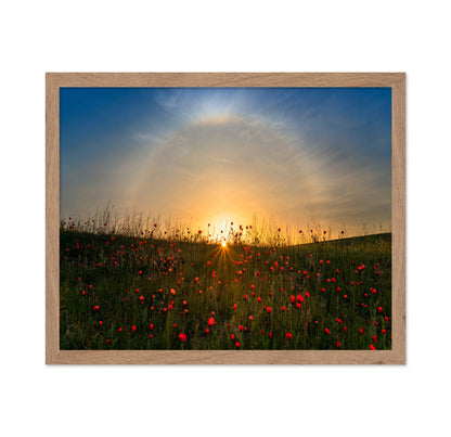 Red Poppies And Sunrise