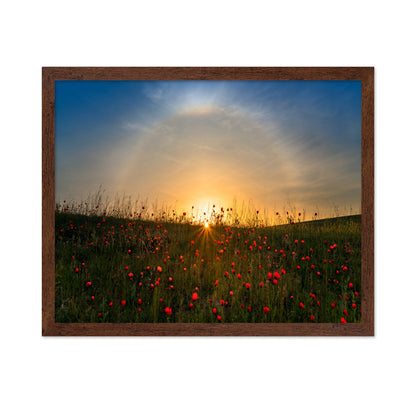 Red Poppies And Sunrise