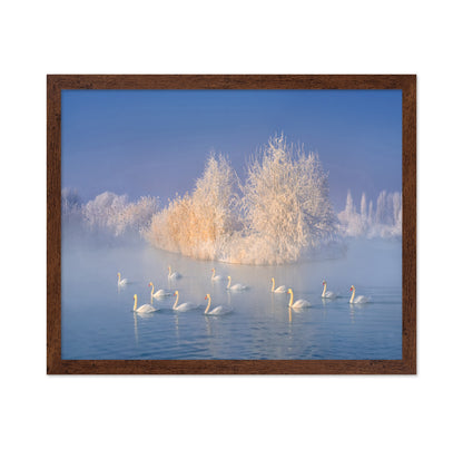 Swans on a Misty Lake