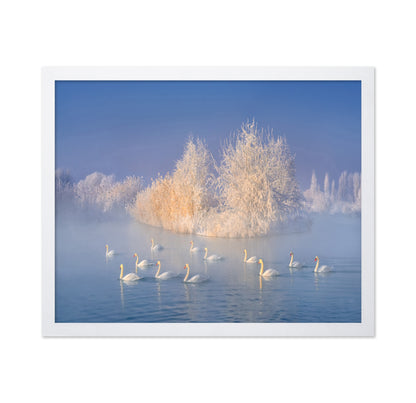Swans on a Misty Lake