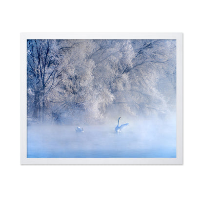 Swan Lake