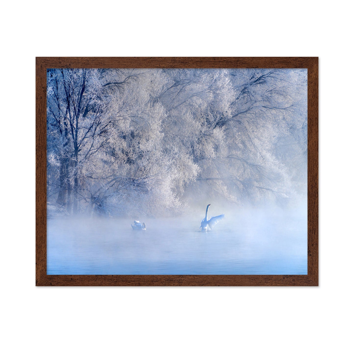 Swan Lake