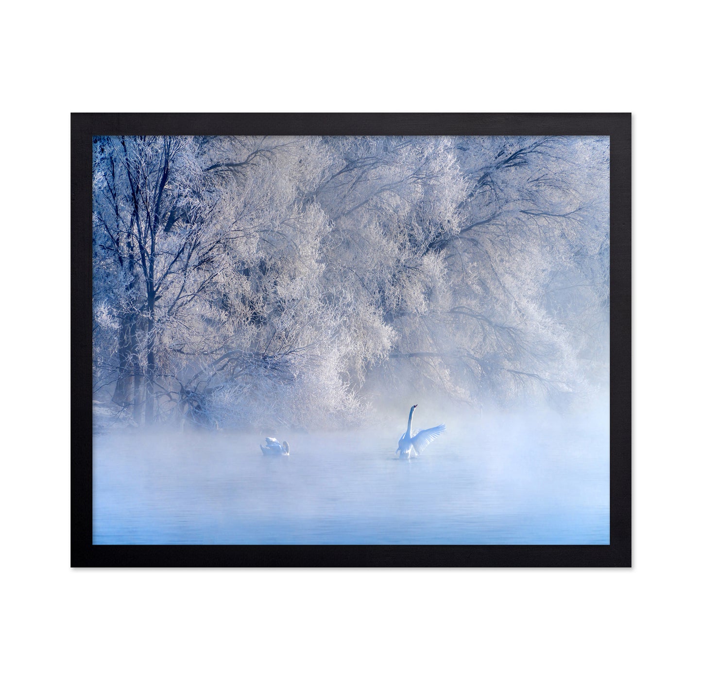 Swan Lake