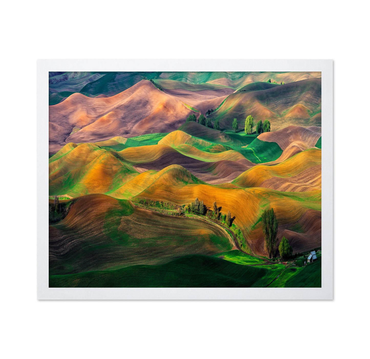 The Palouse