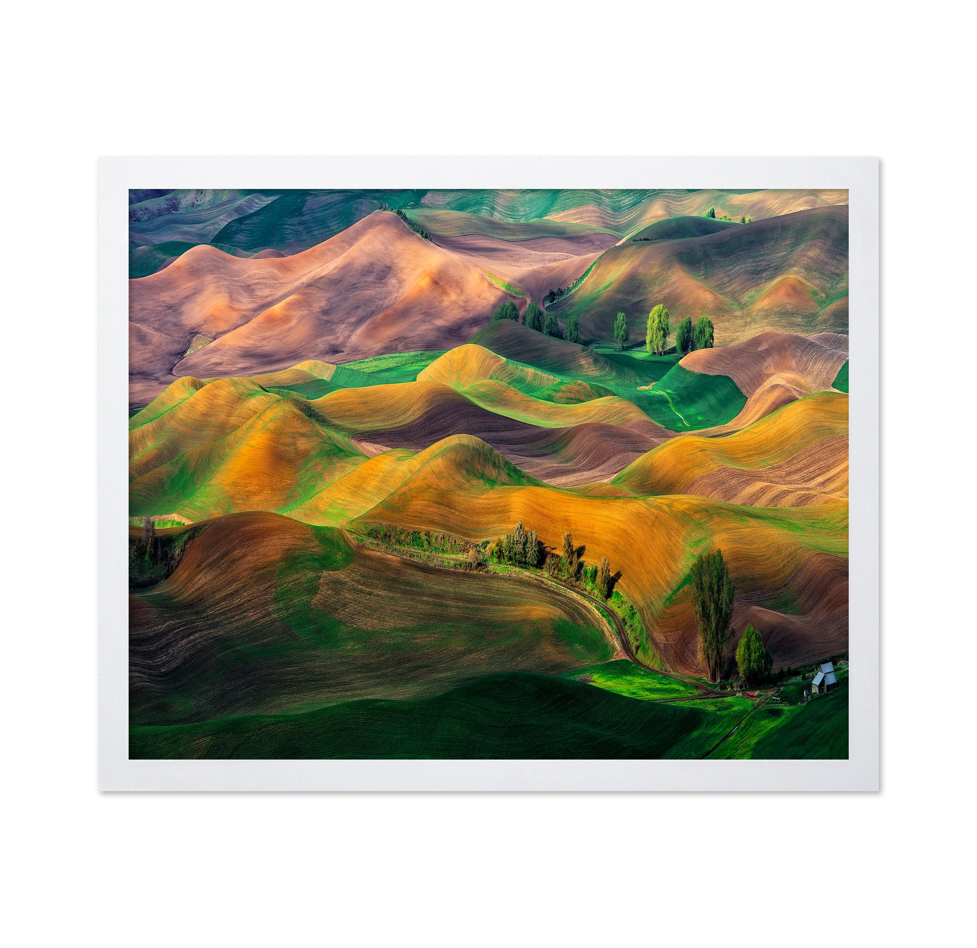 The Palouse