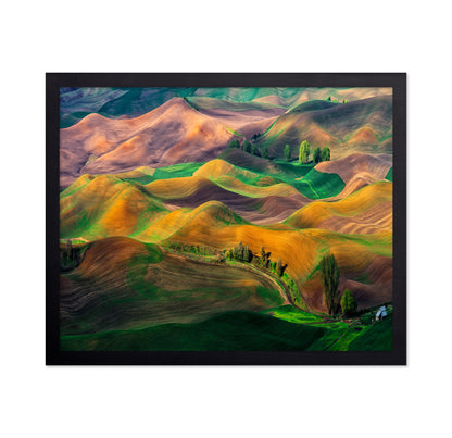 The Palouse