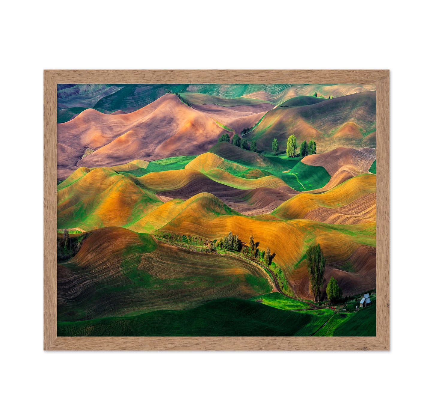 The Palouse
