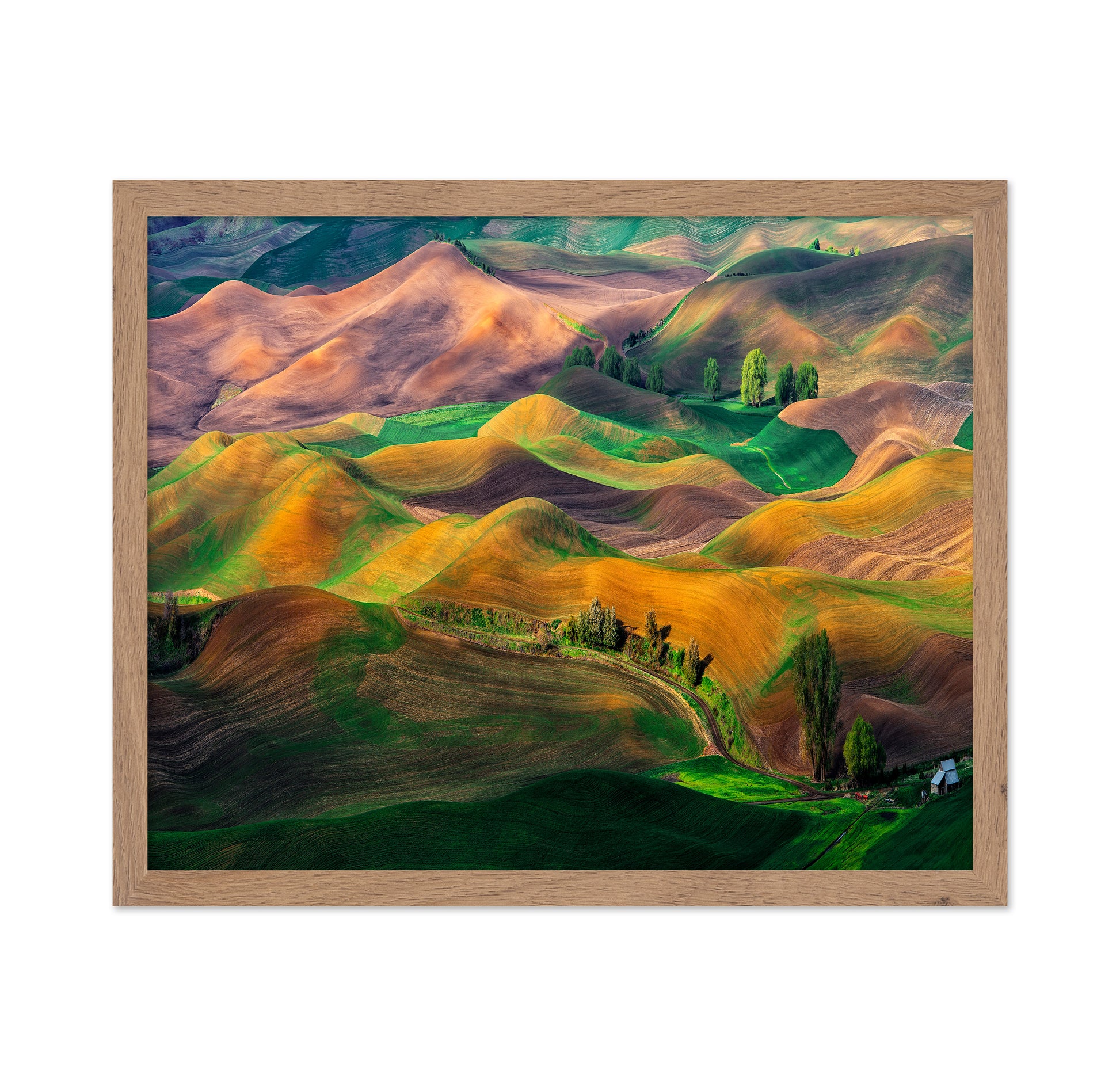 The Palouse