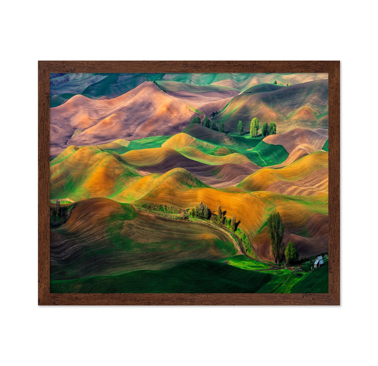 The Palouse