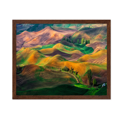 The Palouse