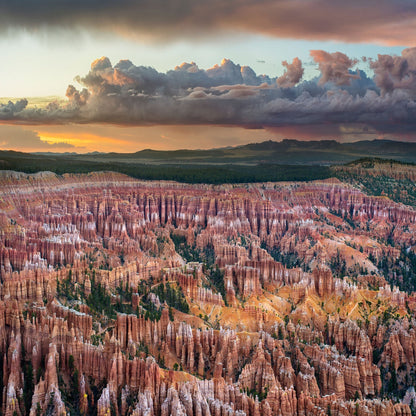 Bryce