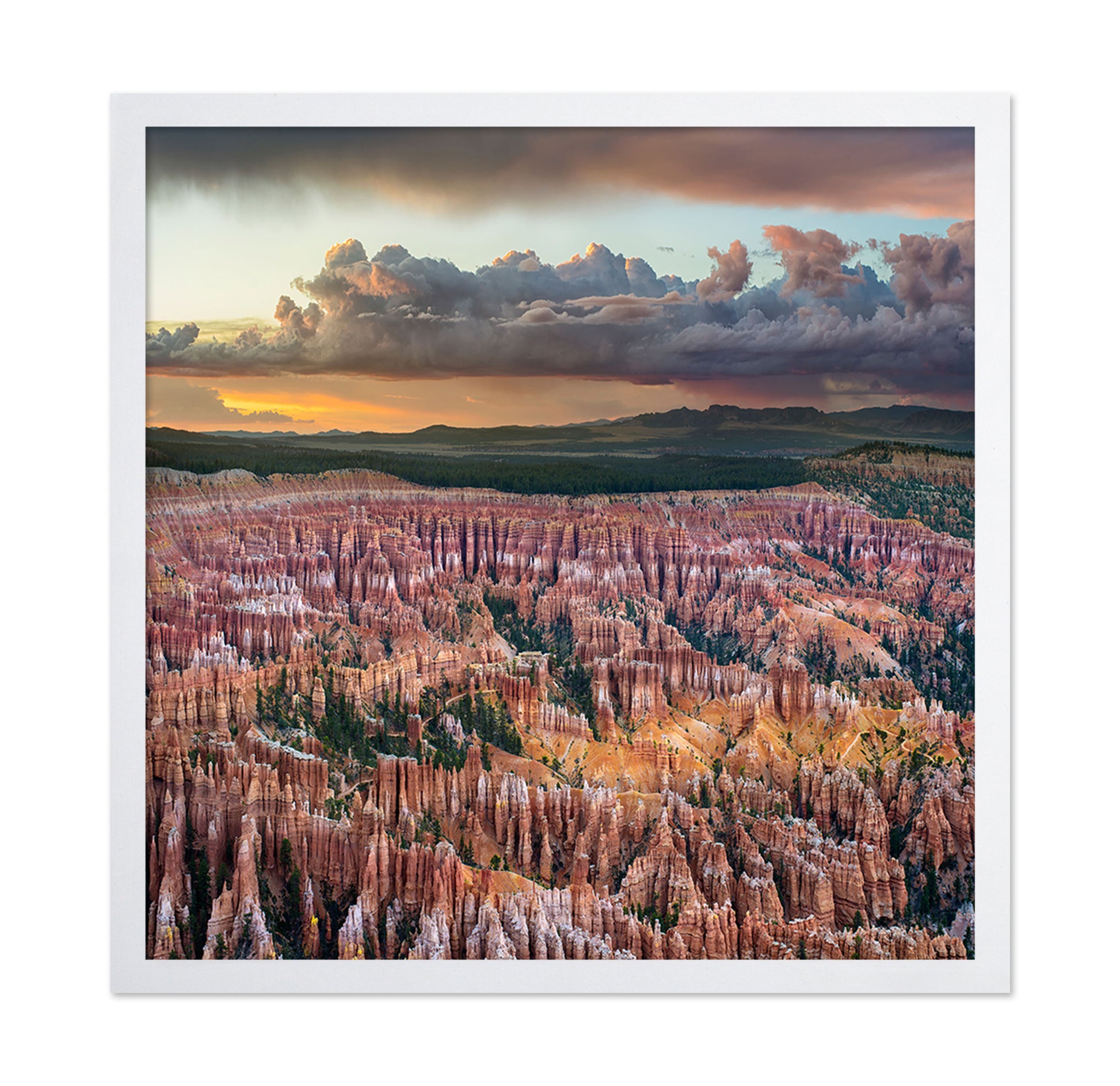 Bryce