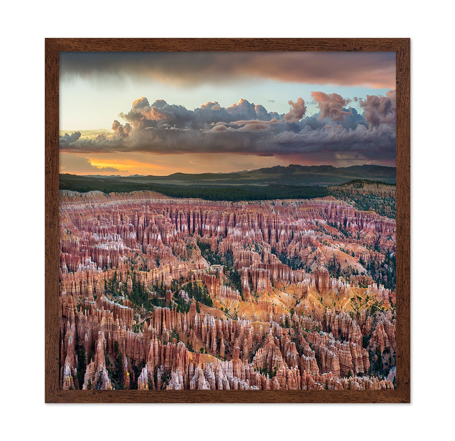 Bryce