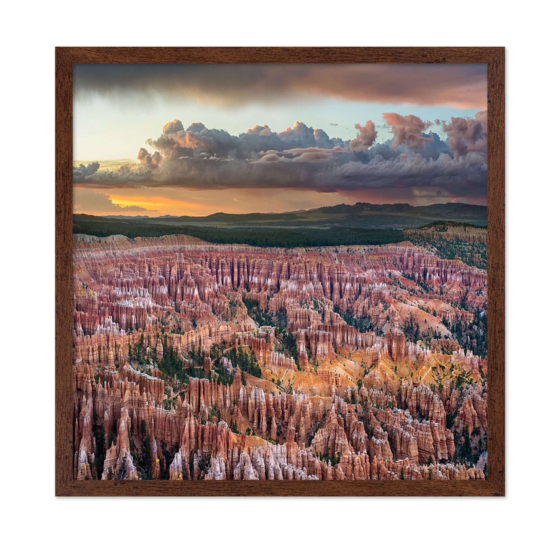 Bryce