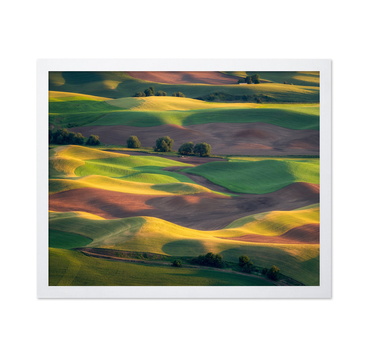 Colorful Palouse