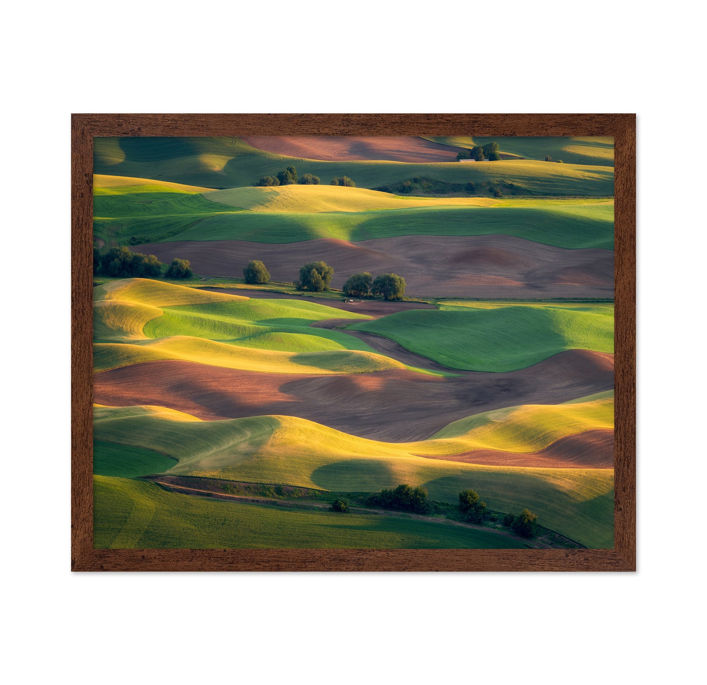 Colorful Palouse