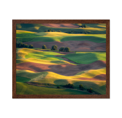 Colorful Palouse