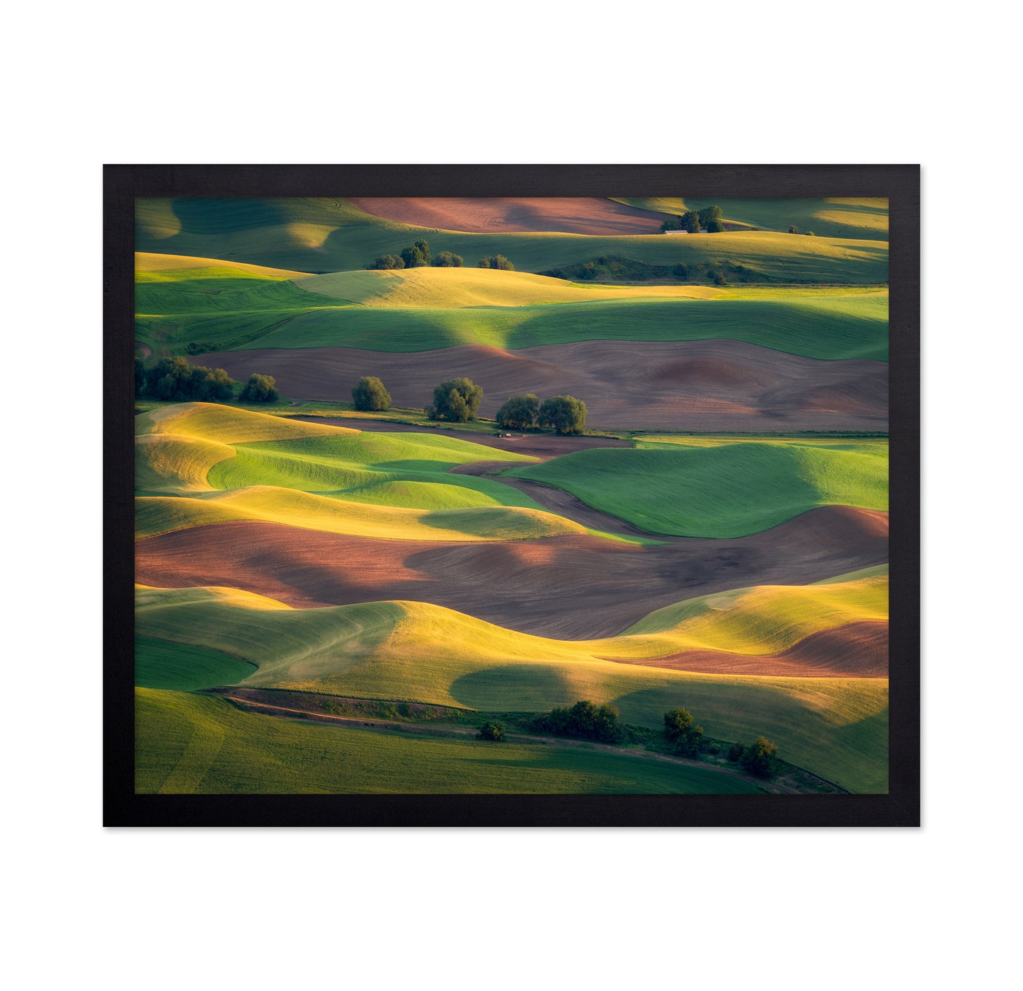 Colorful Palouse