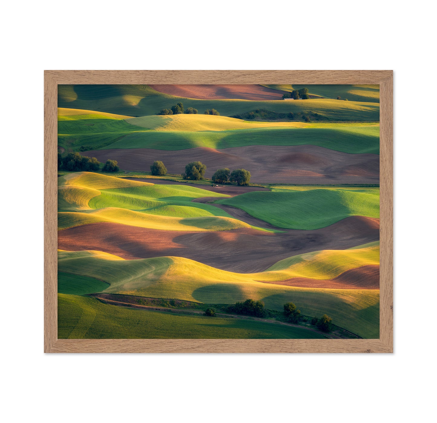 Colorful Palouse