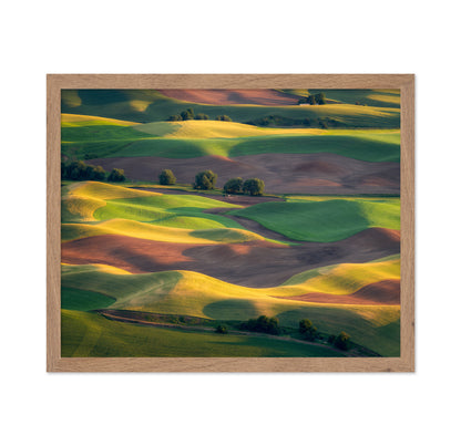 Colorful Palouse