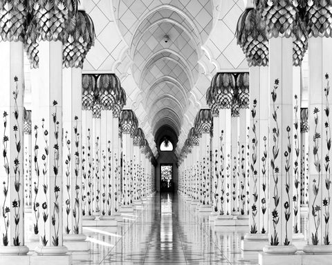 Sheik Zayed Mosque No 1