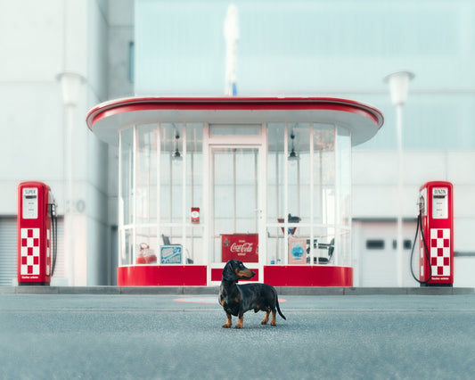 The Gas Station Attendant