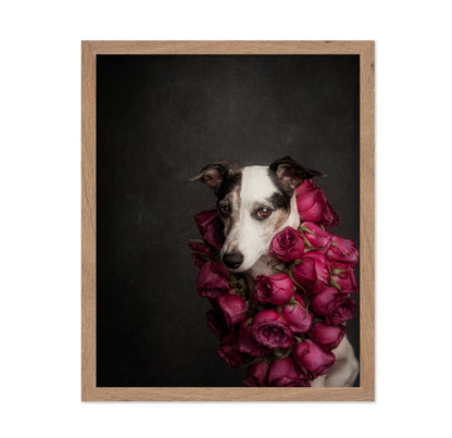 Rose Queen