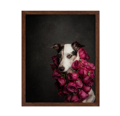 Rose Queen