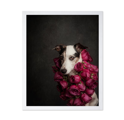 Rose Queen