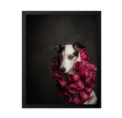 Rose Queen