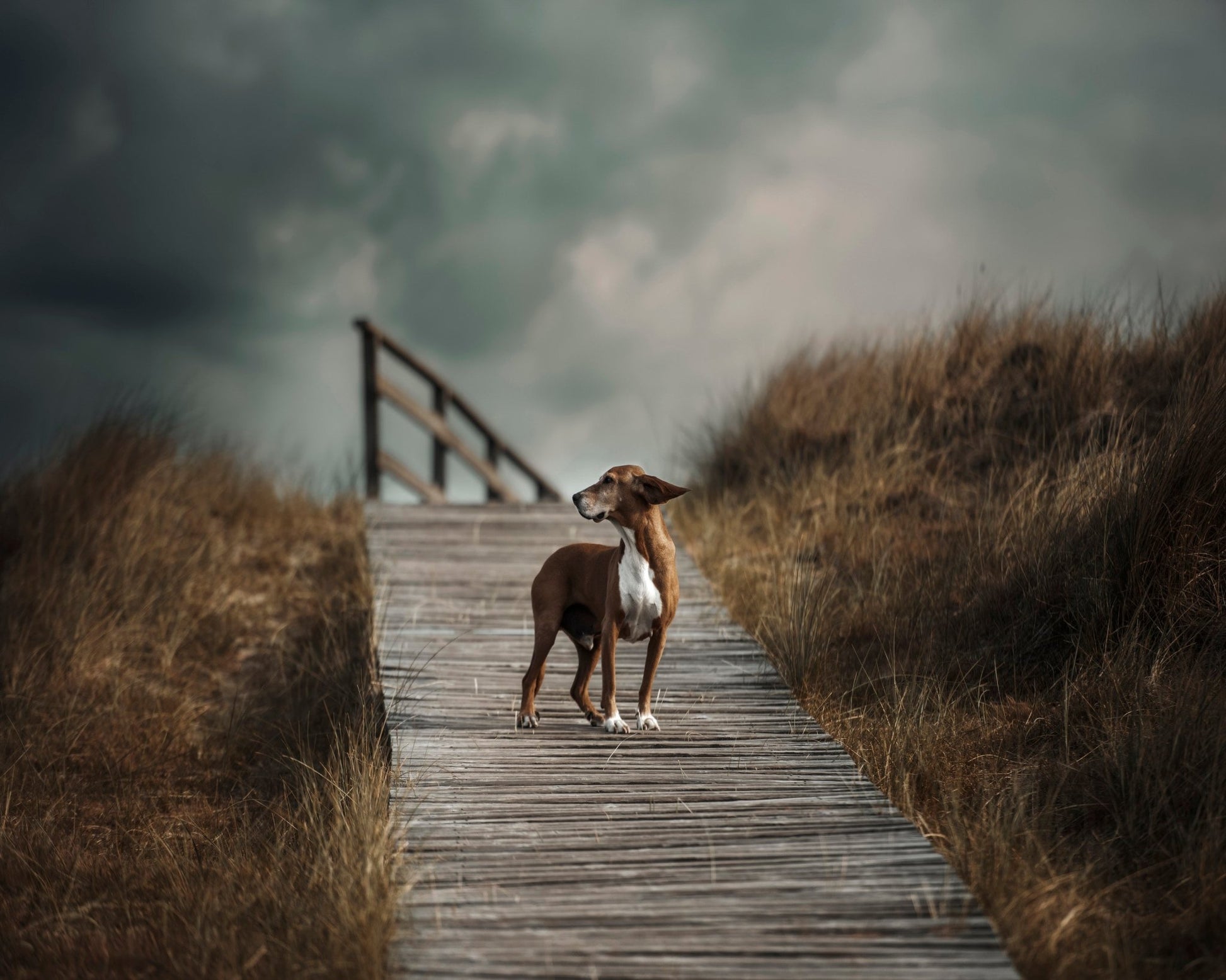 Pathway Sentinel