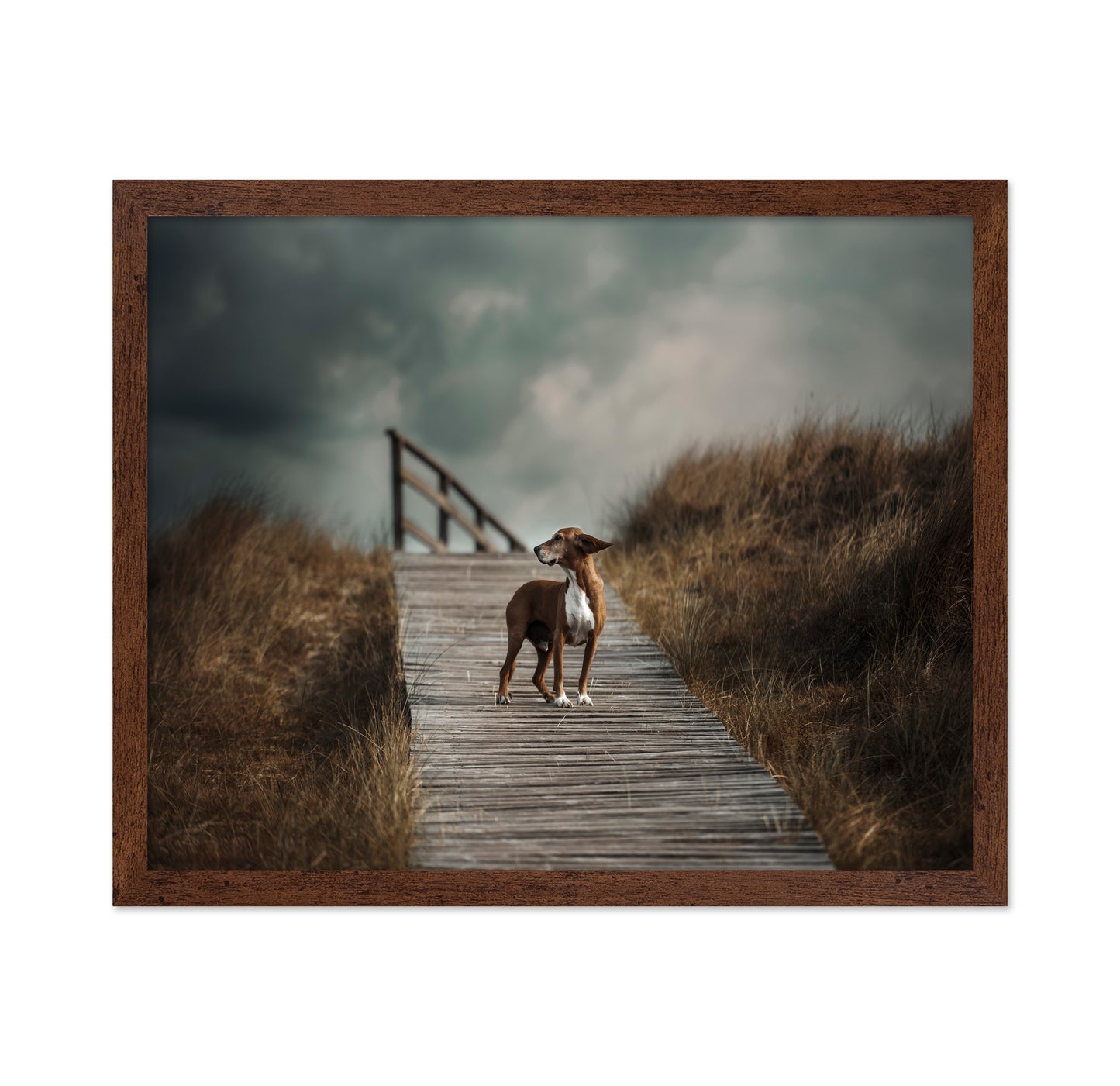 Pathway Sentinel