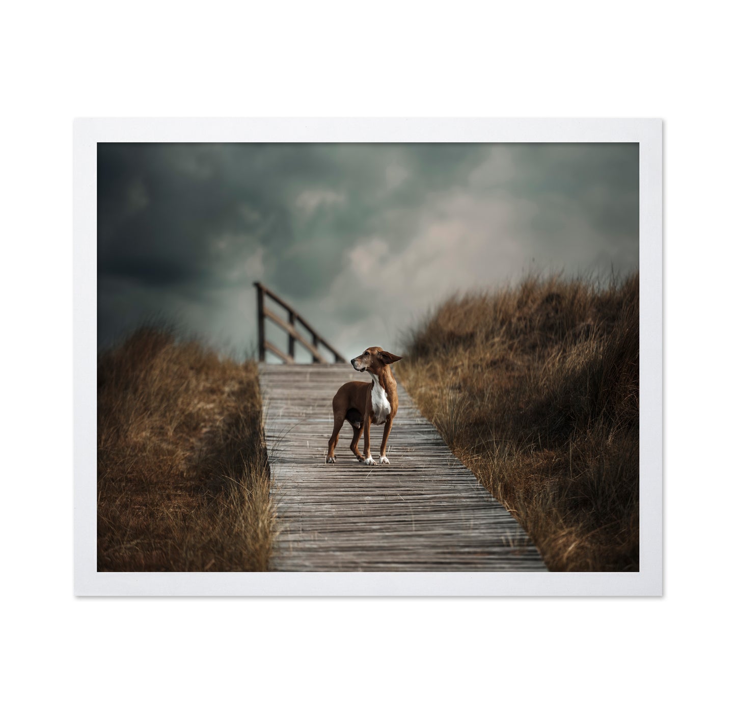 Pathway Sentinel